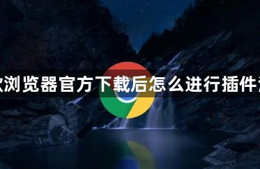 谷歌浏览器官方下载后怎么进行插件清理1