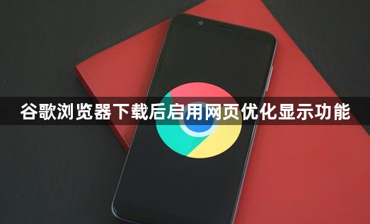 谷歌浏览器下载后启用网页优化显示功能1