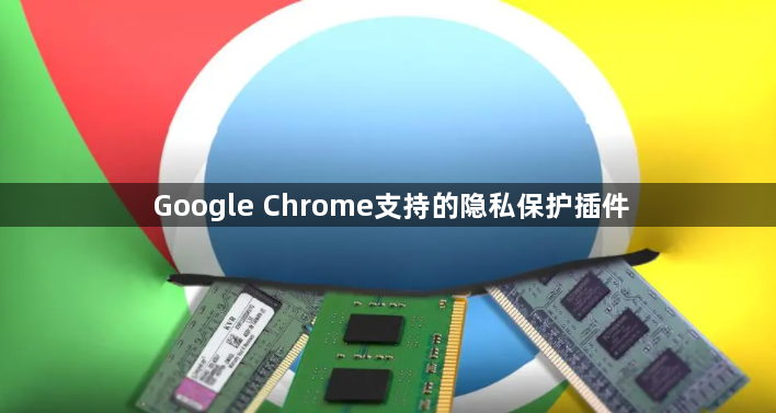 Google Chrome支持的隐私保护插件1