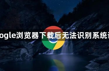 Google浏览器下载后无法识别系统语言1