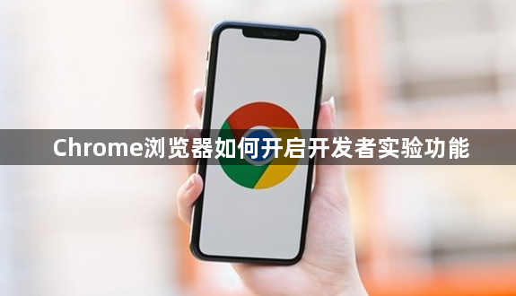 Chrome浏览器如何开启开发者实验功能1