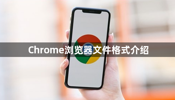 Chrome浏览器文件格式介绍1