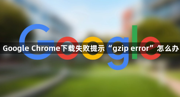 Google Chrome下载失败提示“gzip error”怎么办1