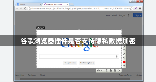 谷歌浏览器插件是否支持隐私数据加密1