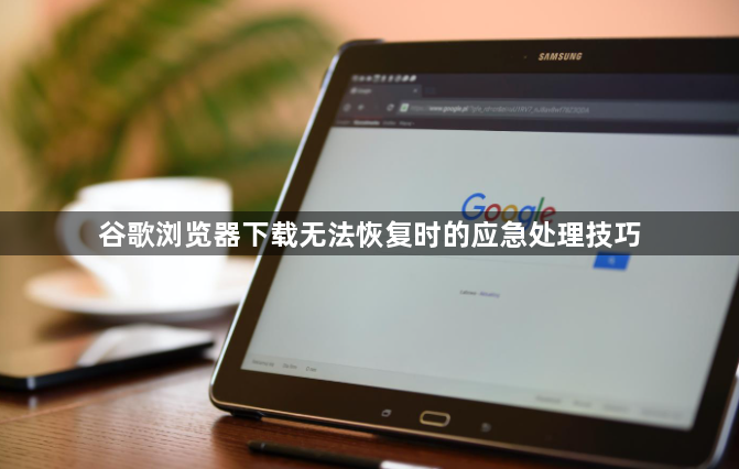 谷歌浏览器下载无法恢复时的应急处理技巧1