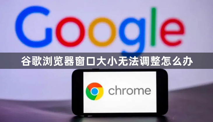 谷歌浏览器窗口大小无法调整怎么办1