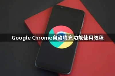 Google Chrome自动填充功能使用教程1