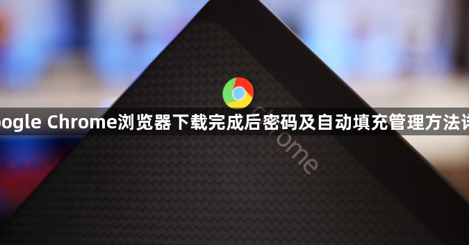 Google Chrome浏览器下载完成后密码及自动填充管理方法详解1