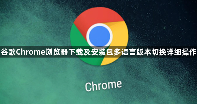 谷歌Chrome浏览器下载及安装包多语言版本切换详细操作1