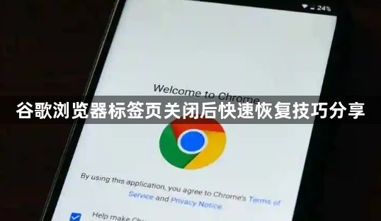 谷歌浏览器标签页关闭后快速恢复技巧分享1