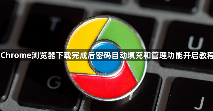 Chrome浏览器下载完成后密码自动填充和管理功能开启教程1
