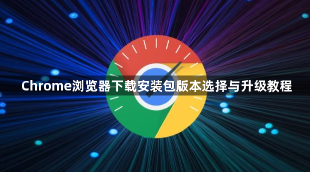 Chrome浏览器下载安装包版本选择与升级教程1