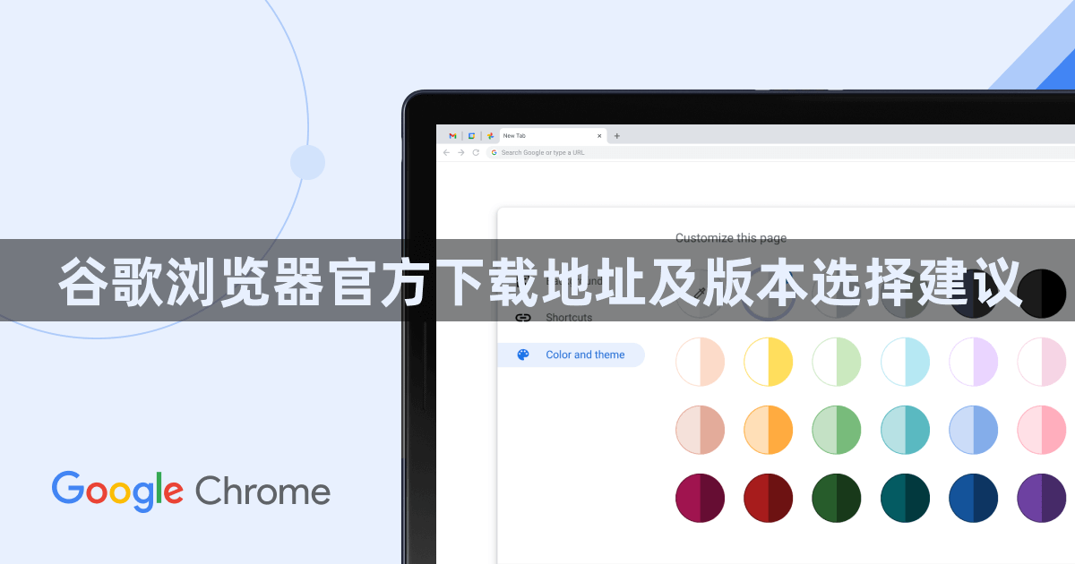 谷歌浏览器官方下载地址及版本选择建议1